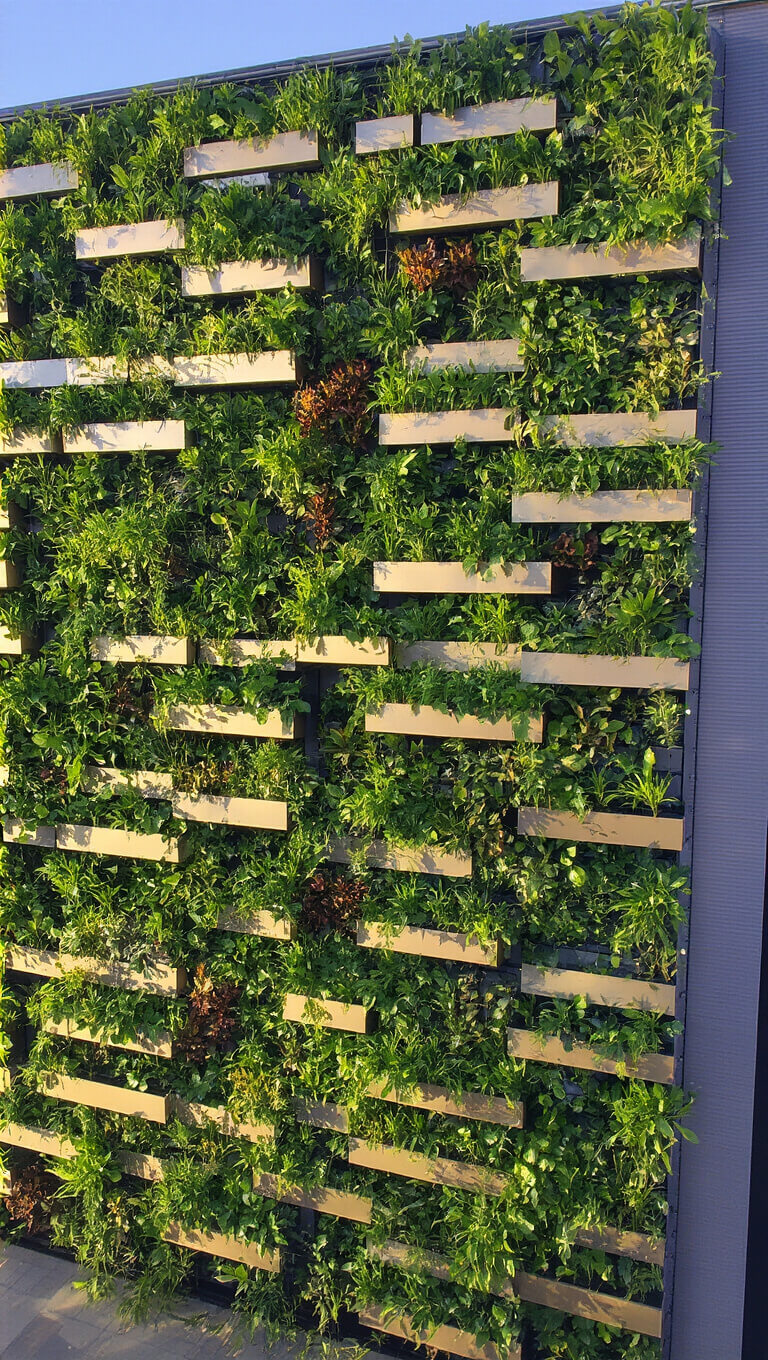 Upward view of a 20'x30' vertical garden at sunset with geometric planting patterns, integrated irrigation, and dramatic lighting highlighting green, silver, and copper-toned foliage in modular planters on a steel framework.