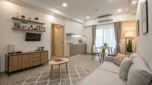 Tiny Apartment Minimalist